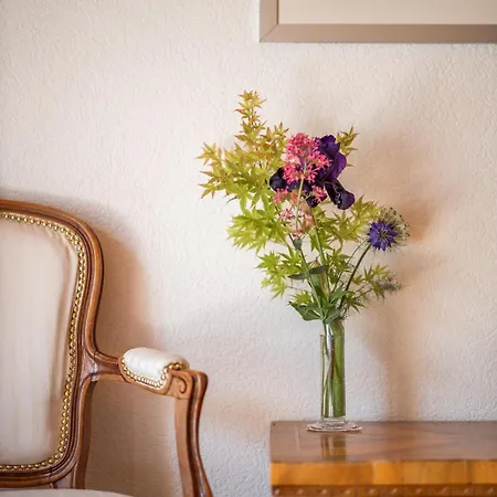 Mon Reve, Petit Dejeuner Bio, Jacuzzi לינה וארוחת בוקר Les Evouettes