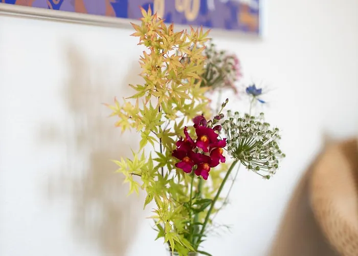 Mon Reve, Petit Dejeuner Bio, Jacuzzi